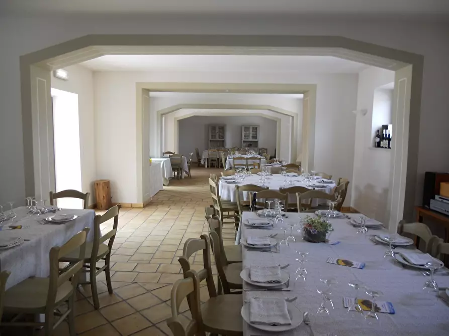 Immagine 14 di Azienda agricola in affitto  a Città Sant'angelo