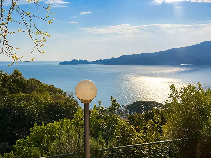 Immagine 20 di Bilocale in vendita  a Zoagli