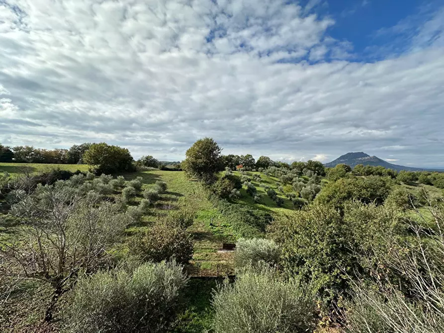 Immagine 33 di Casa indipendente in vendita  a Civitella San Paolo