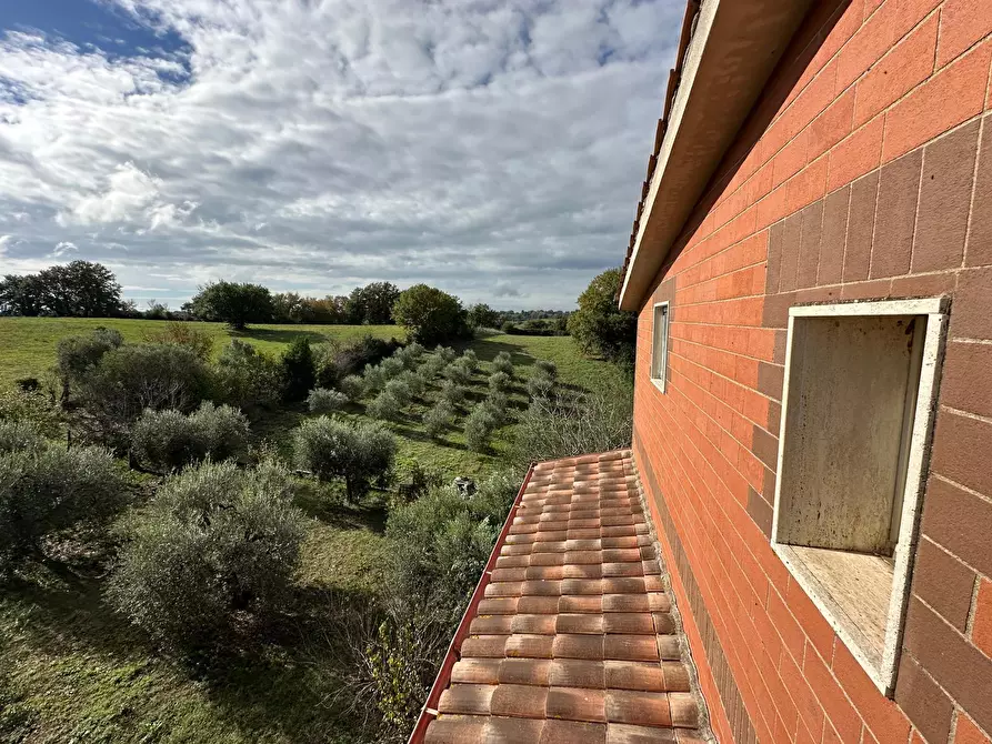 Immagine 41 di Casa indipendente in vendita  a Civitella San Paolo