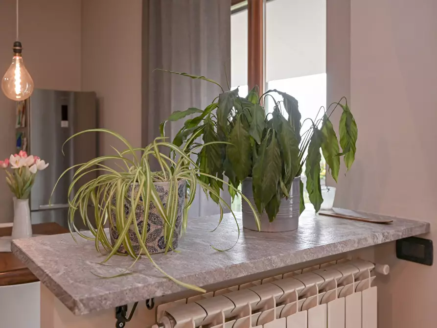 Immagine 33 di Quadrilocale in vendita  in Via Tetto Nuovo 6 a Pino Torinese