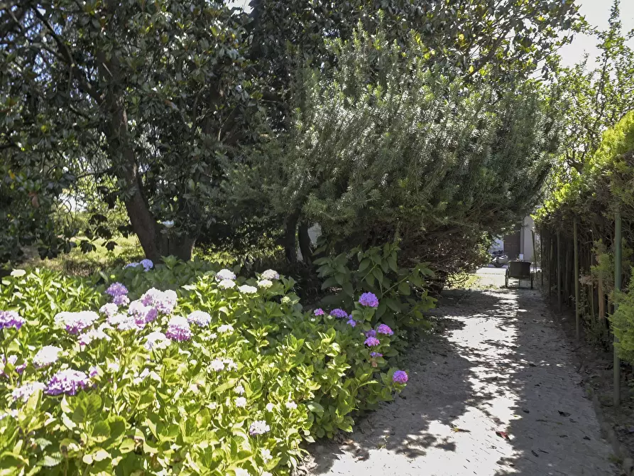 Immagine 44 di Villa in vendita  in via IV Novembre 22 a Strambino