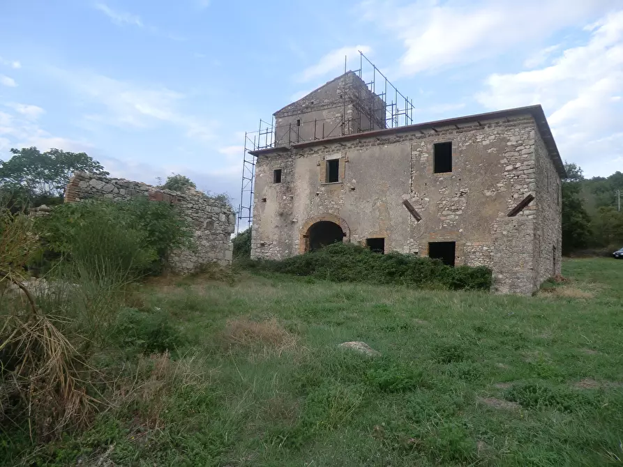 Immagine 4 di Rustico / casale in vendita  a Massa Martana