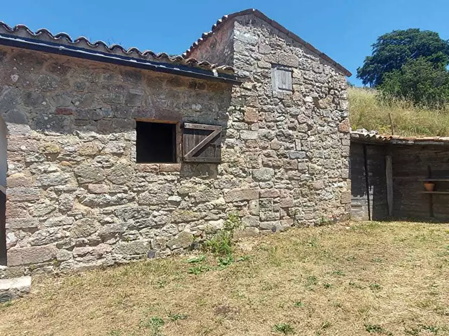 Immagine 28 di Porzione di casa in vendita  a Massa Martana