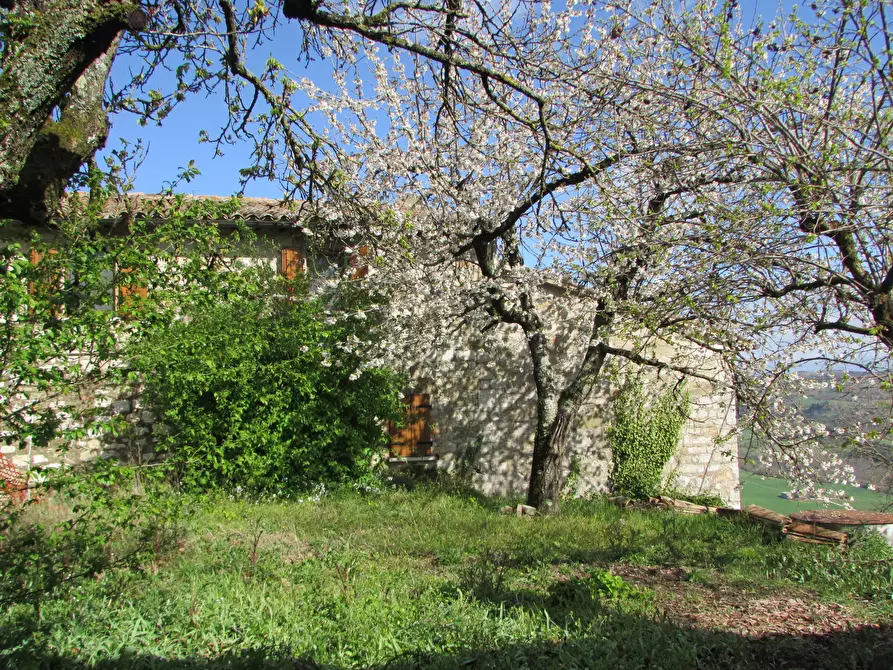 Immagine 20 di Rustico / casale in vendita  a Todi