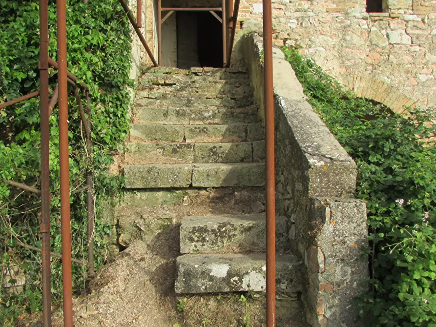 Immagine 6 di Rustico / casale in vendita  a Massa Martana