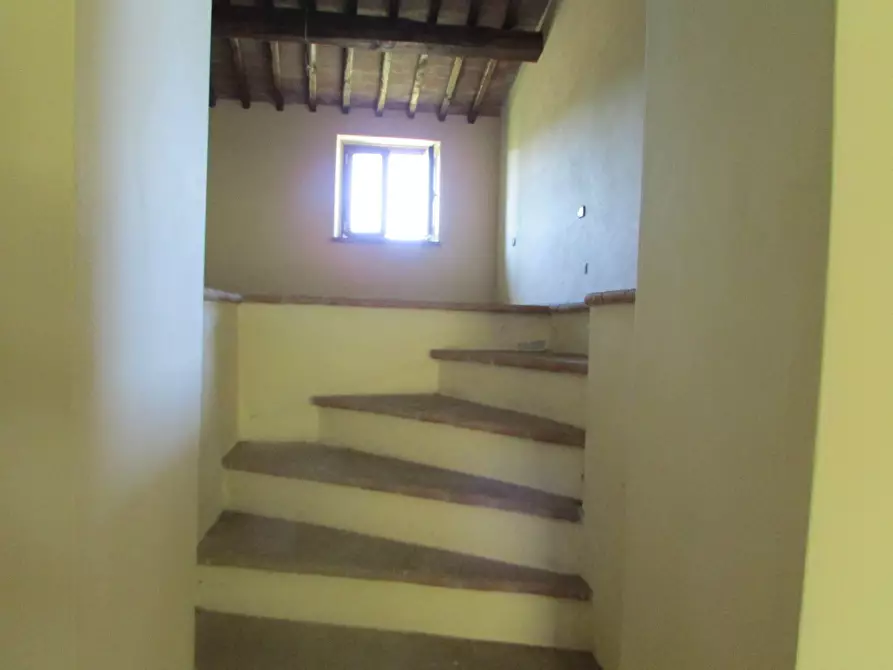 Immagine 9 di Porzione di casa in vendita  a Massa Martana