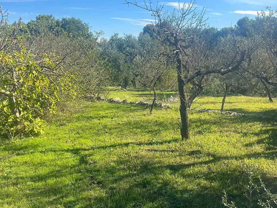 Immagine 13 di Rustico / casale in vendita  in Via Vd'impelo a Castellana Grotte