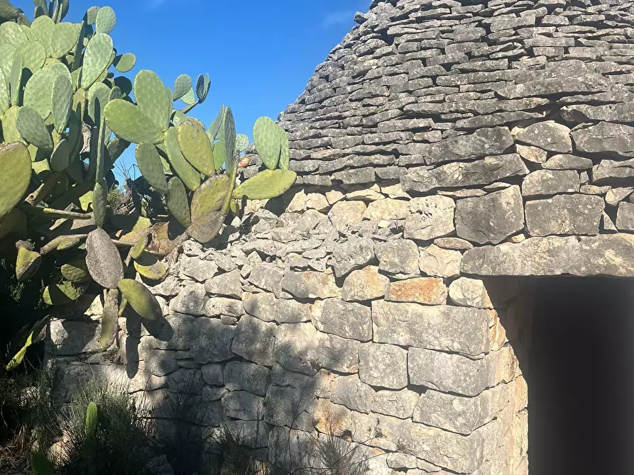 Immagine 4 di Rustico / casale in vendita  in Via Vd'impelo a Castellana Grotte