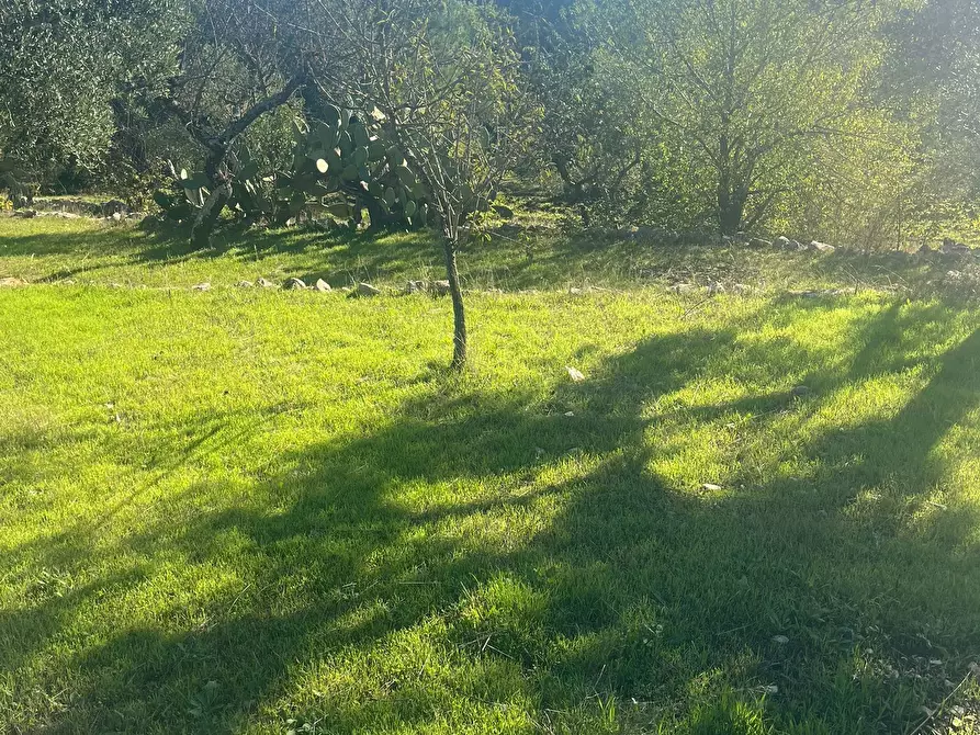 Immagine 9 di Rustico / casale in vendita  in Via Vd'impelo a Castellana Grotte