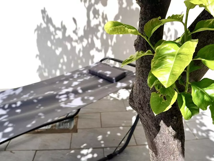 Immagine 4 di Bilocale in vendita  in Via Procaccia 153 a Monopoli