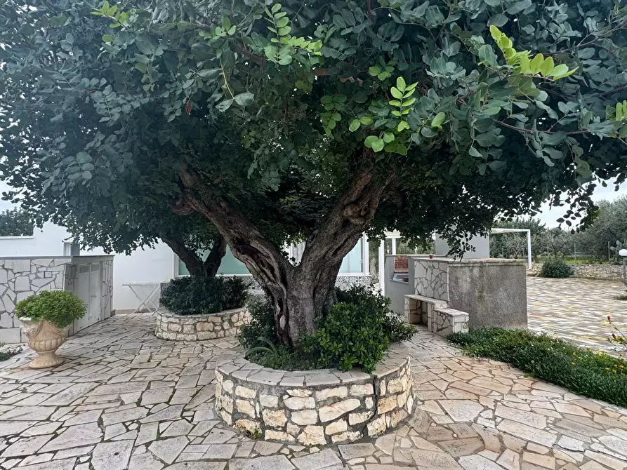 Immagine 4 di Casa indipendente in vendita  in contrada materdomini a Monopoli