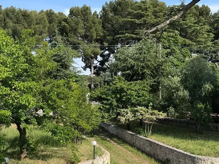 Immagine 8 di Porzione di casa in vendita  in Contrada Antonelli 544 a Monopoli