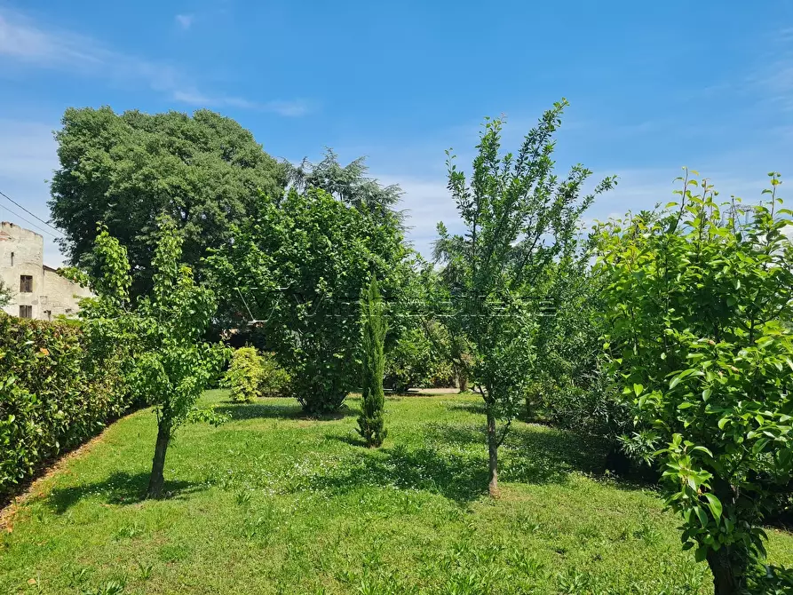 Immagine 34 di Porzione di casa in vendita  in Via Cà Bassa 3 a Albettone