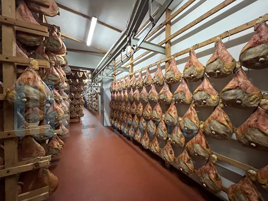 Immagine 1 di Attività artigianale in vendita  a Savignano Sul Panaro