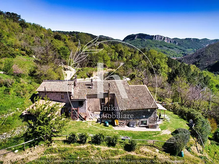 Immagine 37 di Agriturismo in vendita  in Orco Feglino a Orco Feglino