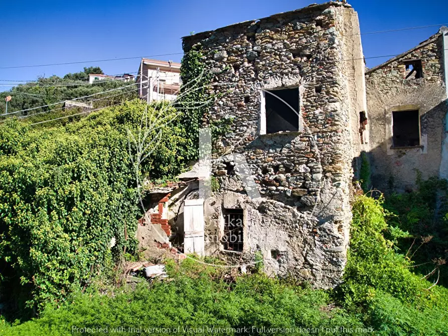 Immagine 3 di Rustico / casale in vendita  in Via Santa Margherita a Vado Ligure