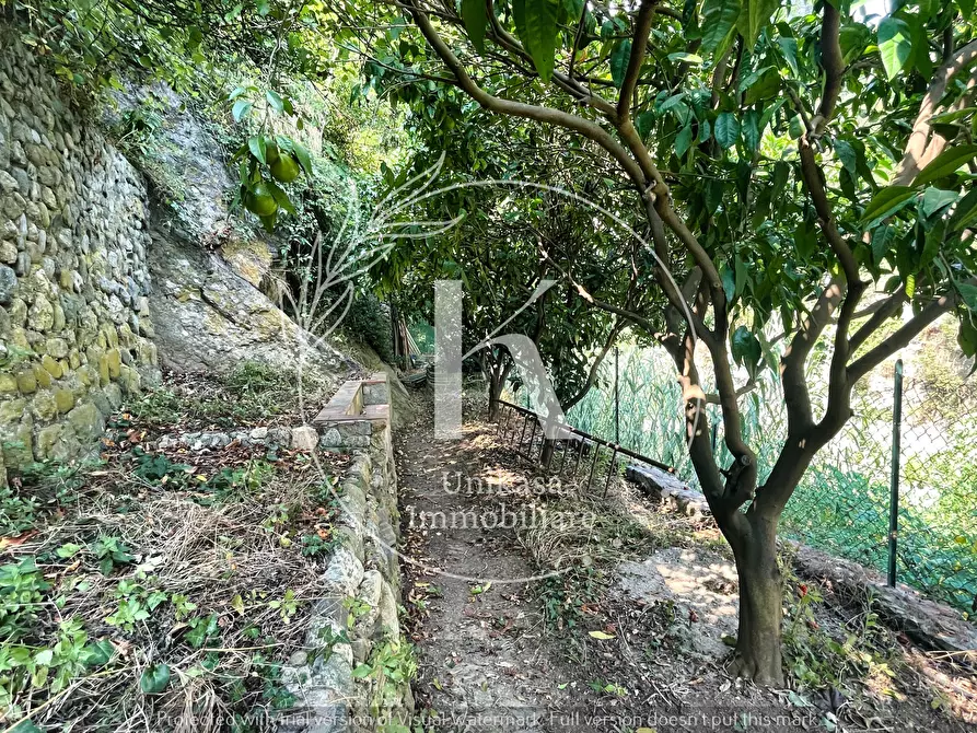 Immagine 34 di Casa indipendente in vendita  in Via Santuario a Savona