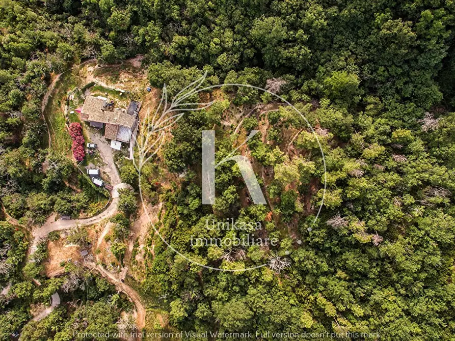 Immagine 53 di Rustico / casale in vendita  in Orco Feglino a Orco Feglino