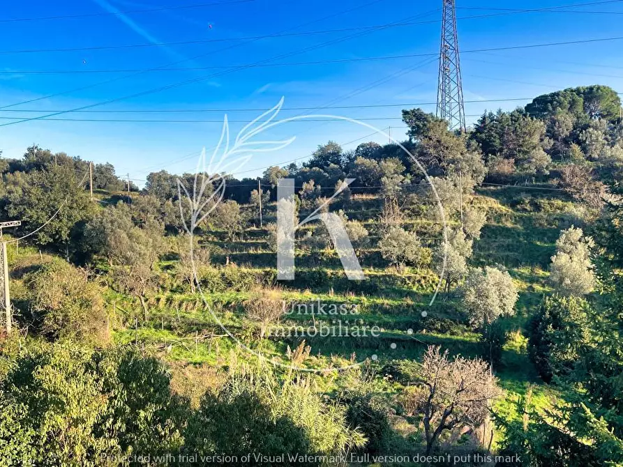 Immagine 13 di Terratetto in vendita  in San Nazario a Savona