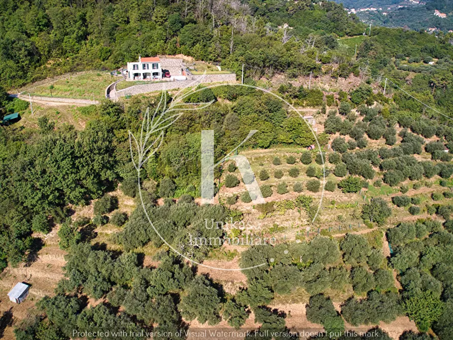 Immagine 11 di Villa in vendita  in Via Parodi a Quiliano