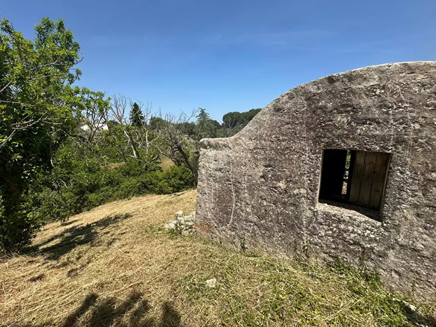 Immagine 13 di Villa in vendita  in Contrada Fantese 38 a Ostuni