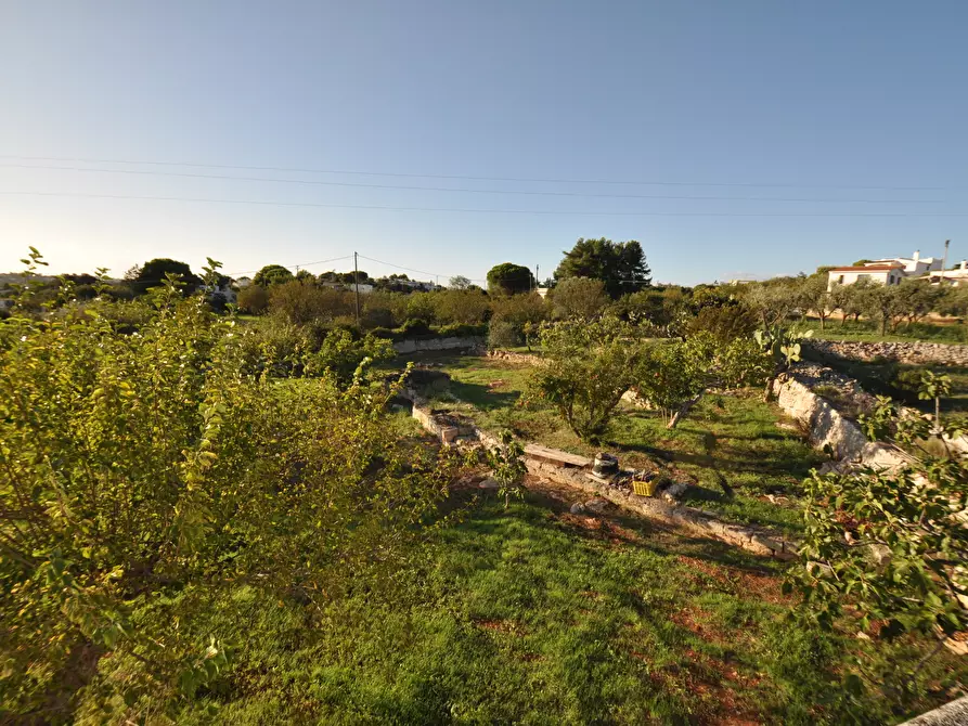 Immagine 38 di Villa in vendita  in SP28 33 a Ostuni