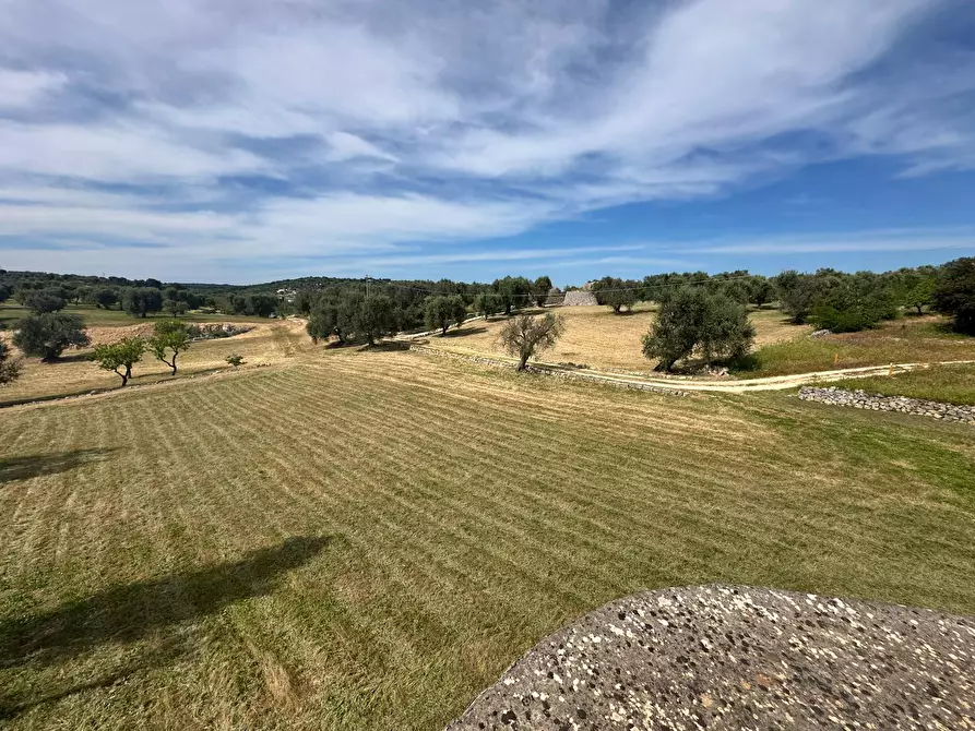 Immagine 23 di Rustico / casale in vendita  in Strada Provinciale 17 a Ostuni