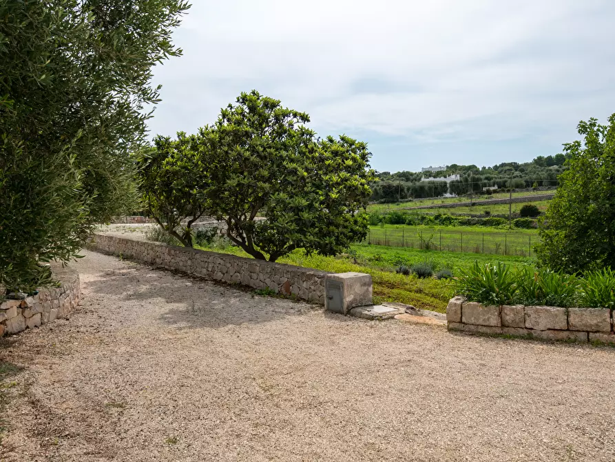 Immagine 8 di Villa in vendita  in contrada molillo a Ostuni