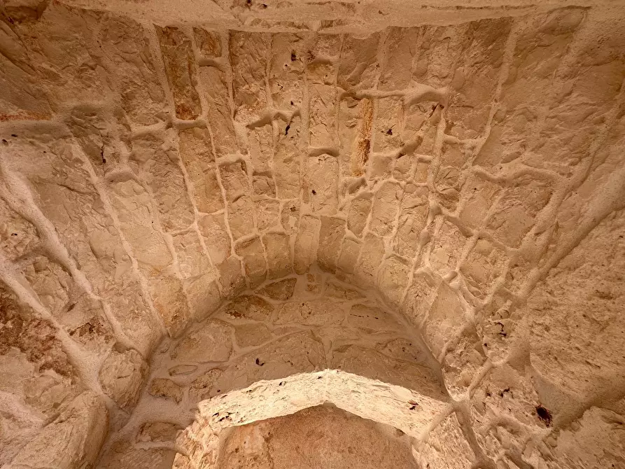 Immagine 21 di Rustico / casale in vendita  in Strada Provinciale 29 a Ostuni