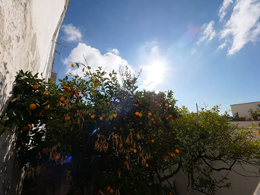Immagine 24 di Casa indipendente in vendita  in Via Gaspare Petrarolo a Ostuni