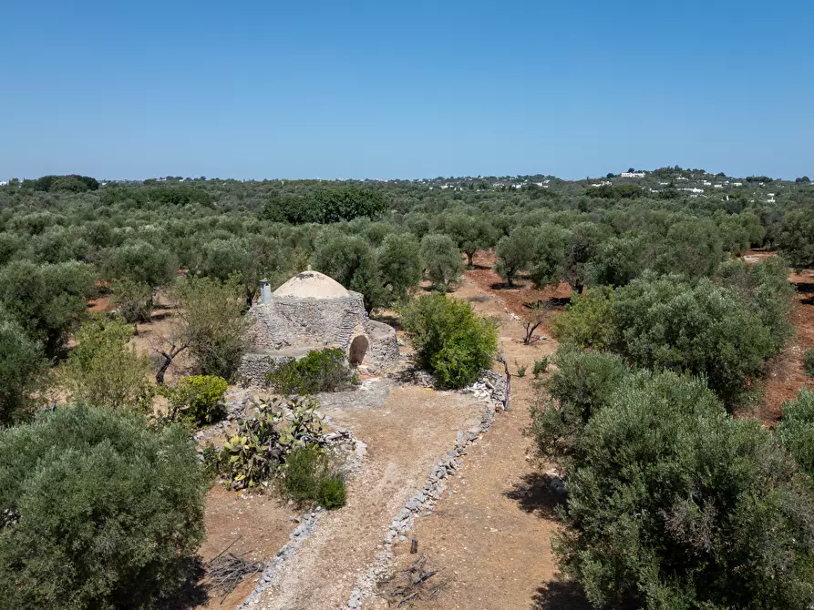 Immagine 3 di Casa indipendente in vendita  in Strada Provinciale 29 a Ostuni