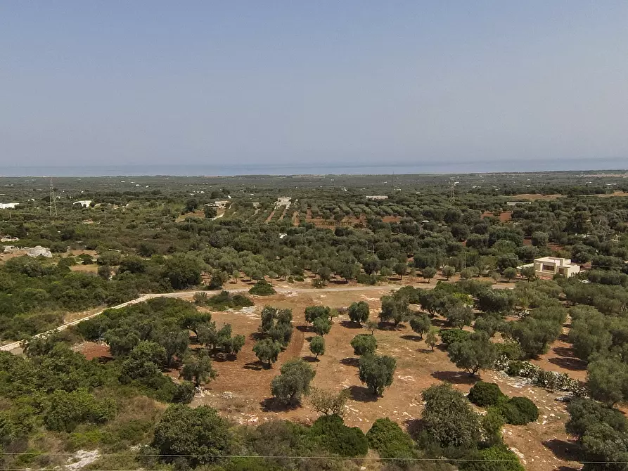 Immagine 3 di Terreno edificabile in vendita  in contrada acciano a Carovigno