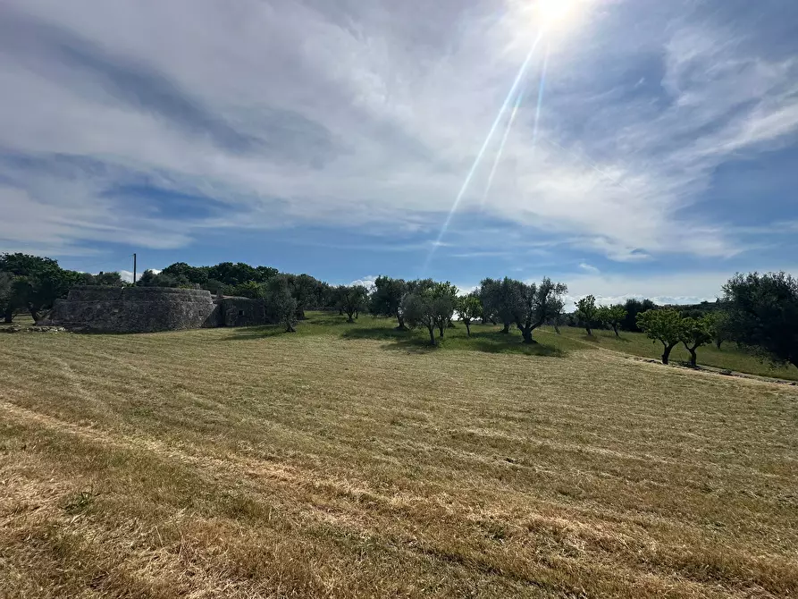 Immagine 8 di Rustico / casale in vendita  in Strada Provinciale 17 a Ostuni