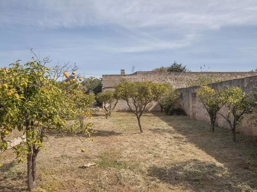 Immagine 21 di Rustico / casale in vendita  a Ostuni