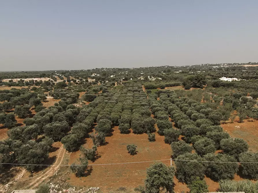 Immagine 1 di Terreno edificabile in vendita  in Contrada Santo ScaloneSANTO SCALONE snc a Ostuni