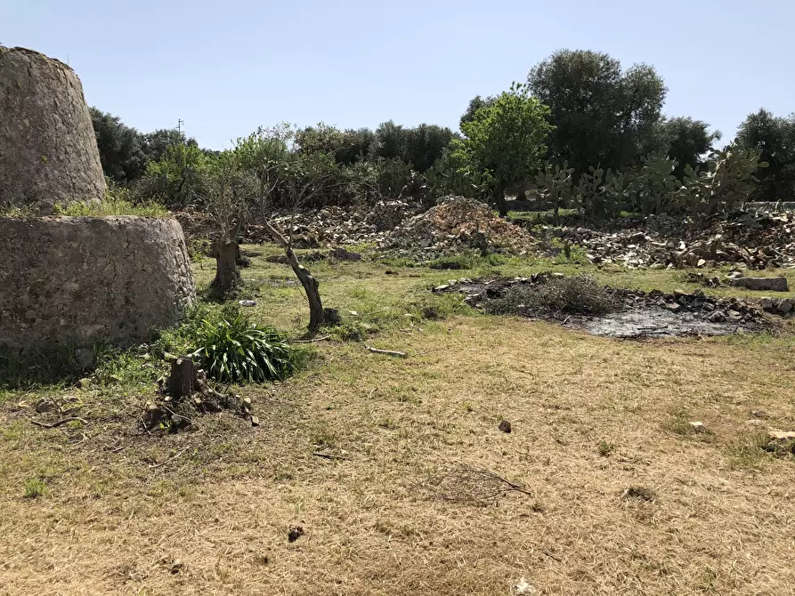 Immagine 5 di Casa indipendente in vendita  in Contrada Malandrino a Ostuni