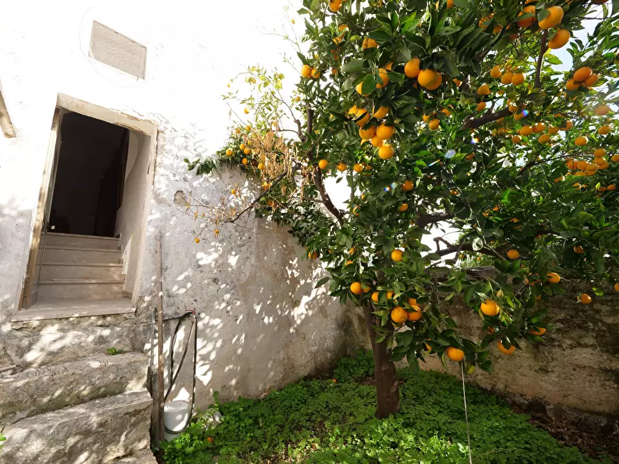 Immagine 20 di Casa indipendente in vendita  in Via Gaspare Petrarolo a Ostuni