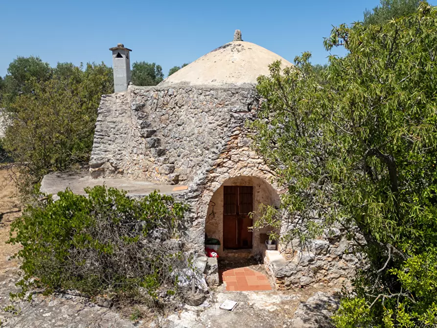 Immagine 13 di Casa indipendente in vendita  in Strada Provinciale 29 a Ostuni
