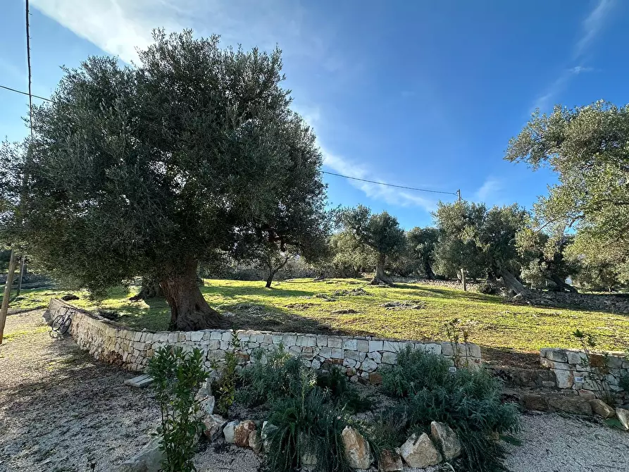 Immagine 18 di Casa indipendente in vendita  in Corso Giuseppe Mazzini a Ostuni
