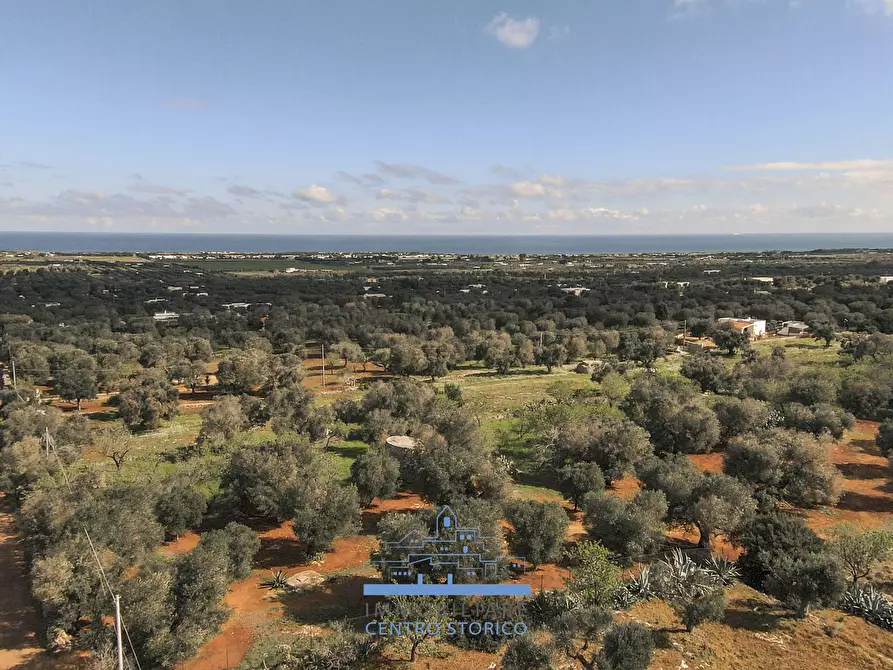 Immagine 3 di Terreno edificabile in vendita  in contrada sierri a Carovigno
