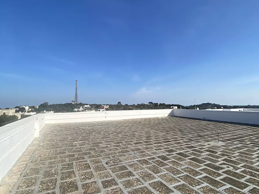 Immagine 16 di Azienda agricola in vendita  in Strada Statale 16 Adriatica 105 a Ostuni