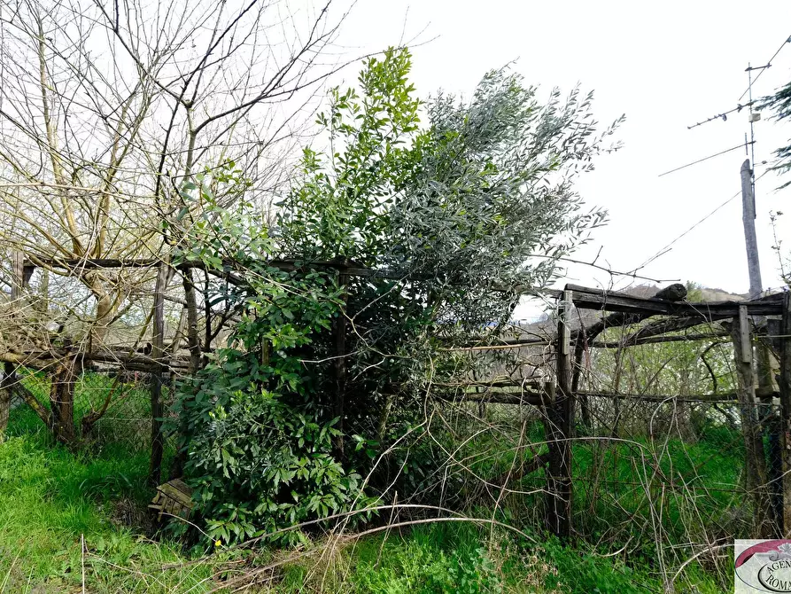 Immagine 36 di Rustico / casale in vendita  in SP216 6 a Pareto