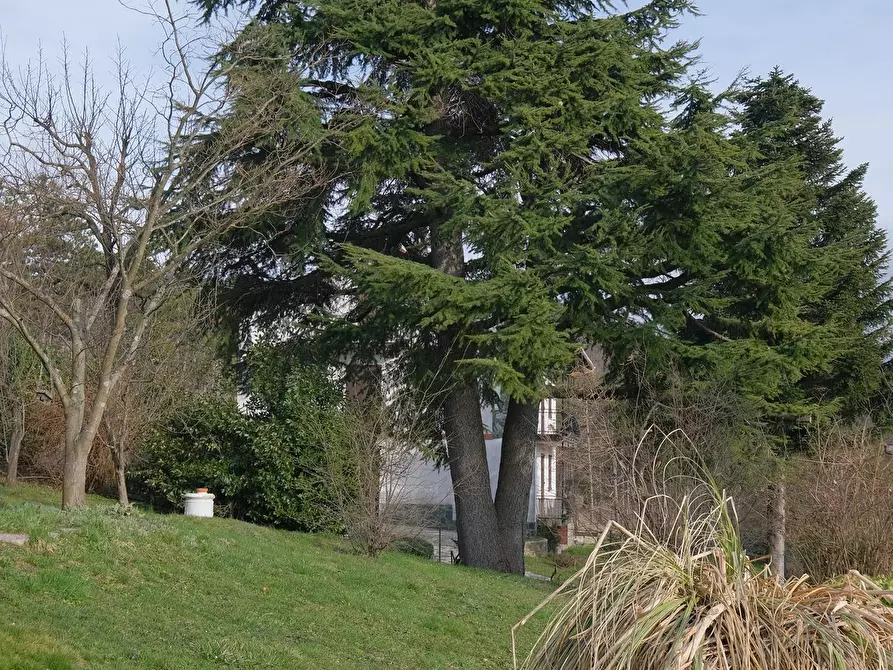 Immagine 22 di Casa bifamiliare in vendita  a Tiglieto