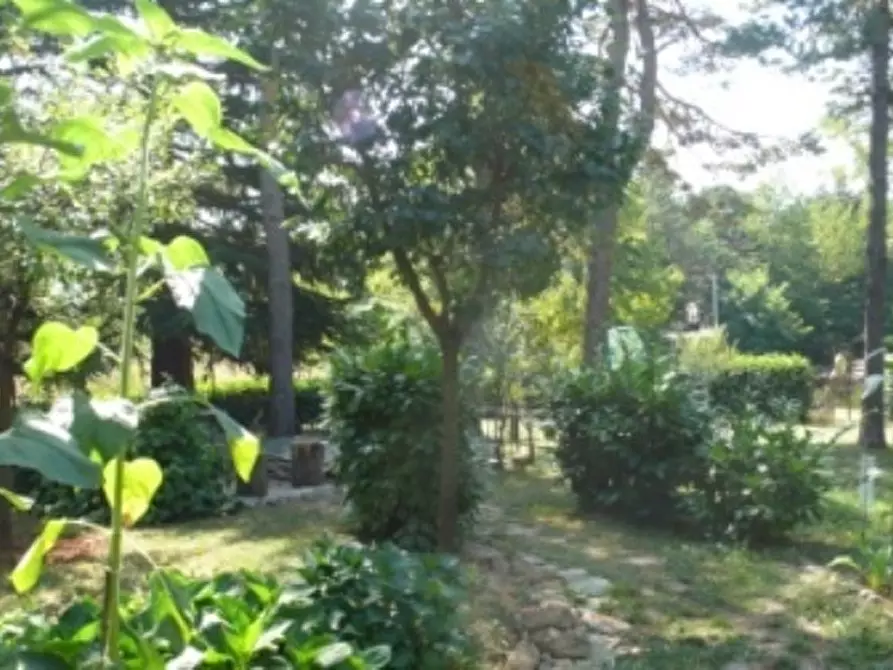 Immagine 21 di Casa bifamiliare in vendita  a Sassello