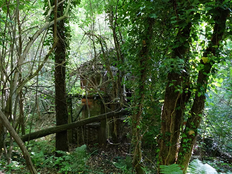 Immagine 17 di Rustico / casale in vendita  in Unnamed Road 13b a Sassello