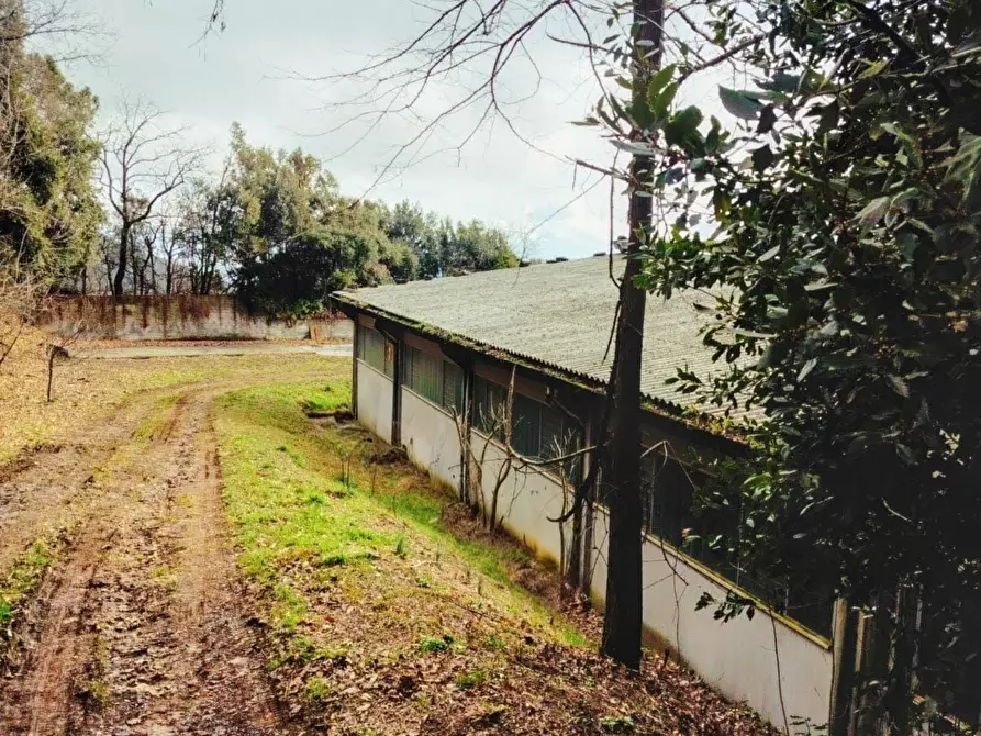 Immagine 34 di Casa indipendente in vendita  a Varazze