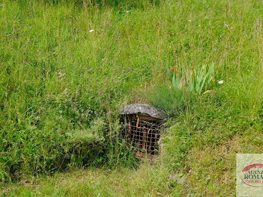 Immagine 16 di Appartamento in vendita  a Urbe