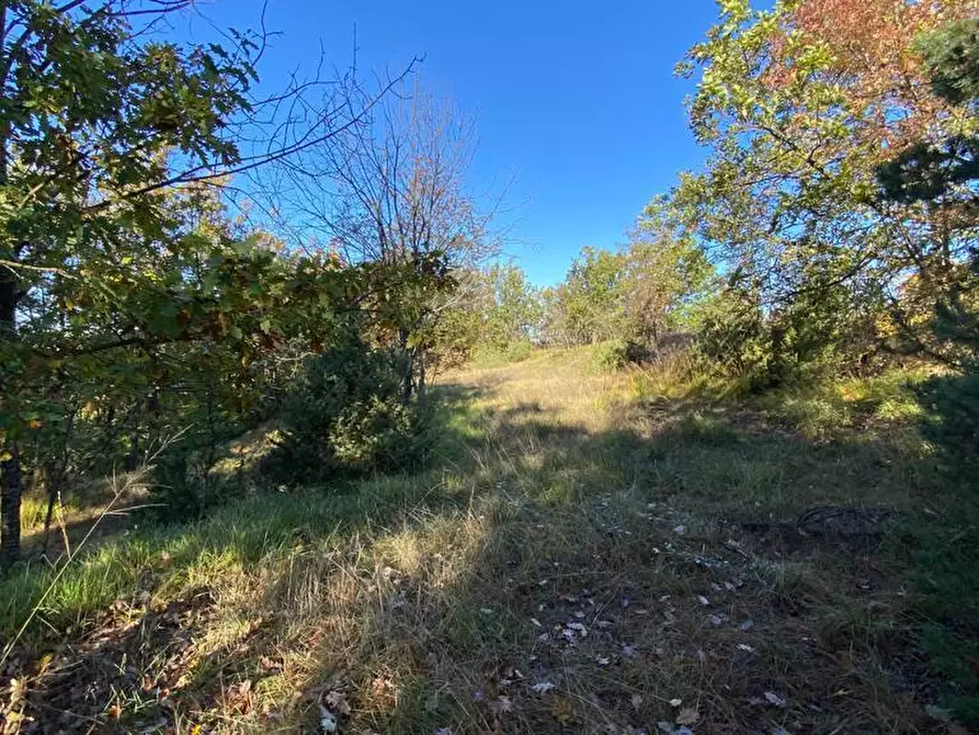 Immagine 10 di Rustico / casale in vendita  in Loc Ormei a Ponzone