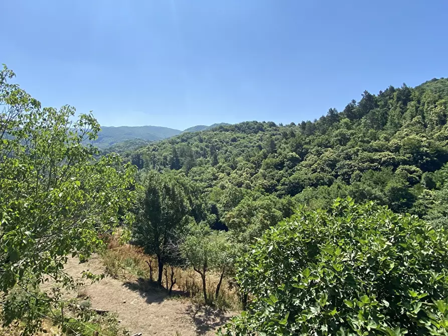 Immagine 15 di Rustico / casale in vendita  in Località Bonuzzo 22 a Sassello